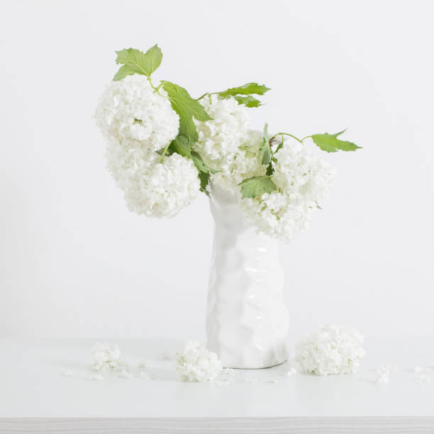 istock branches of decorative viburnum in a vase on white background 1159950193