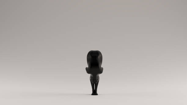istock Black Yoga woman in the Forward Fold Bend Position Wrapped in Black 1159952718
