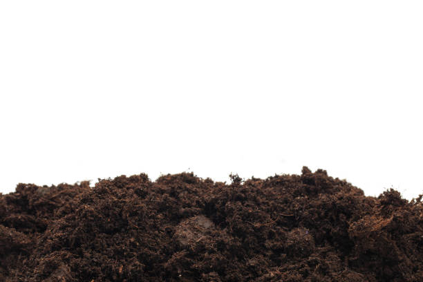 istock pile of soil isolated on white background - Image 1159954079