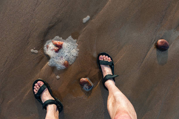 istock Man walking on wet sandy beach,Atlantic Coast, Morocco, North Africa 1159955417