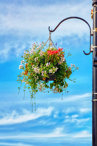 Flower basket hanging from a street lamp post against a blue sky background with clouds