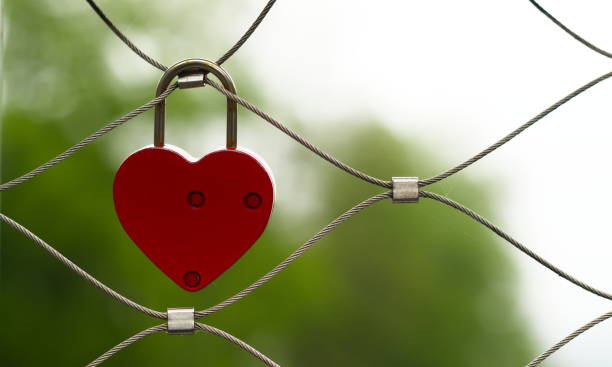 istock Red Heart shaped Lock on Fence 1159955782
