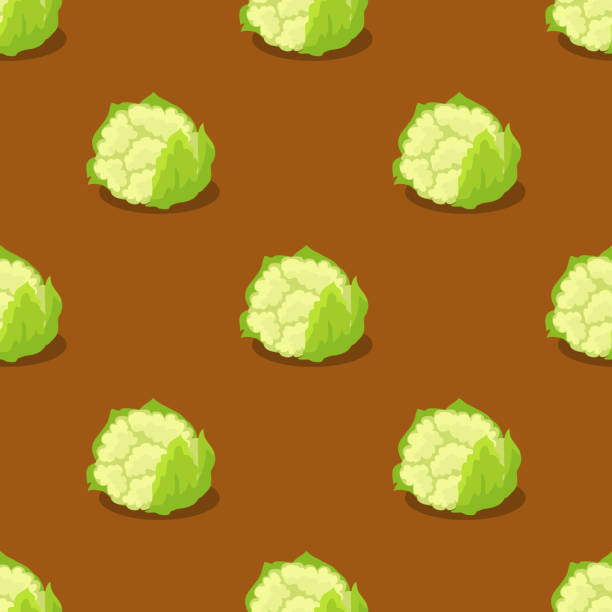 ilustraciones, imágenes clip art, dibujos animados e iconos de stock de coliflor aislada en patrón marrón sin costura - agriculture backgrounds cabbage close up