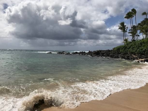 istock Waiting for turtles, North Shore Oahu 1159960979