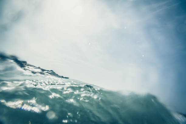 istock Under water detail 1159961360
