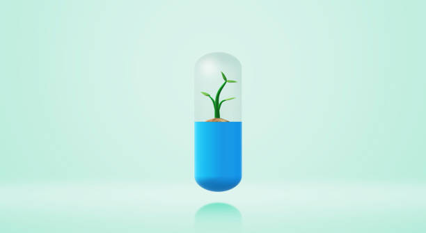 capsule de rendu 3d sapling pour le contenu de médecine. - ginkgo ginkgo tree leaf nutritional supplement photos et images de collection