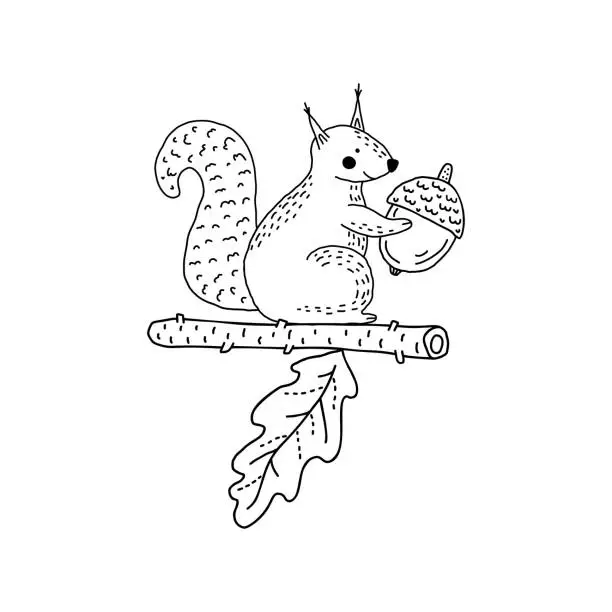 Vector illustration of Vector doodle style squirrel on white background.