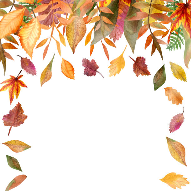 Watercolor autumn frame of tree branches with colorful leaves. Watercolor autumn frame of tree branches with colorful leaves. Autumn illustration for beautiful design of wedding invitations, holiday greetings, posters, packages, with space for text. indian summer stock illustrations