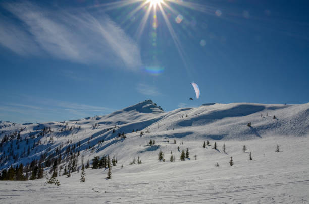 paragliding über dem skigebiet flachau in österreich an einem schönen sonnigen tag mit klarem blauen himmel. - paragliding sport austria parachuting stock-fotos und bilder