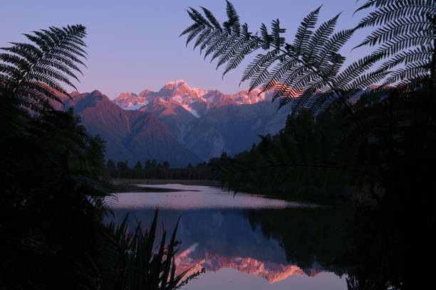 lake matheson sonnenuntergang - westland stock-fotos und bilder