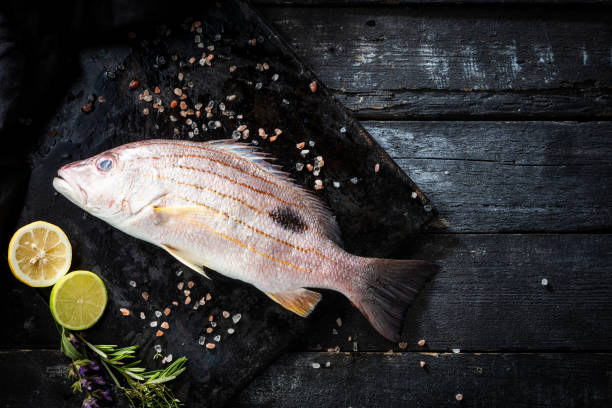 istock Sea delicacies. Fresh seafood. Snapper 1159969911