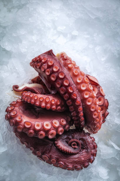 istock Sea delicacies. Fresh seafood. Octopus tentacles on ice. 1159970012