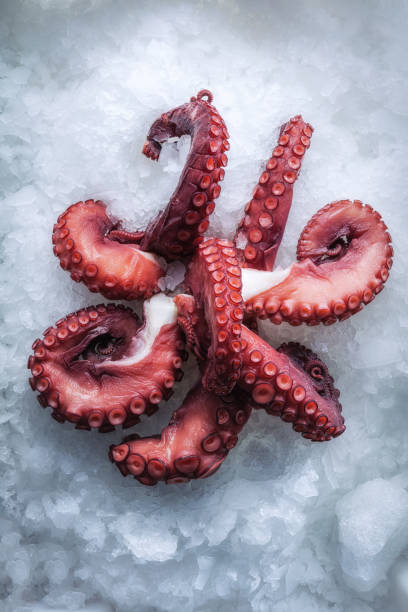 istock Sea delicacies. Fresh seafood. Octopus tentacles on ice. 1159970015