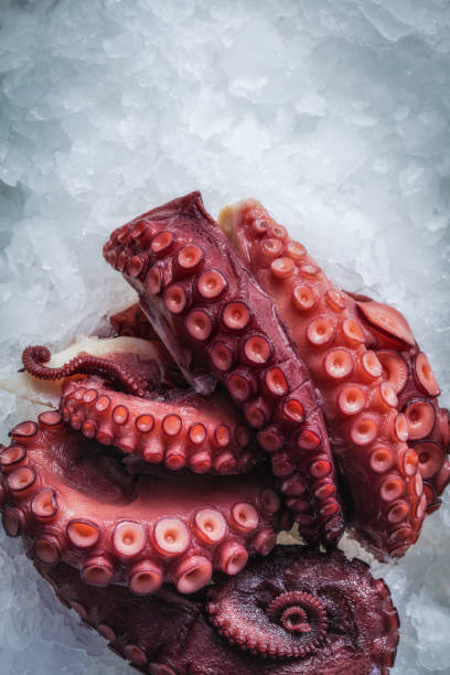 istock Sea delicacies. Fresh seafood. Octopus tentacles on ice. 1159970020