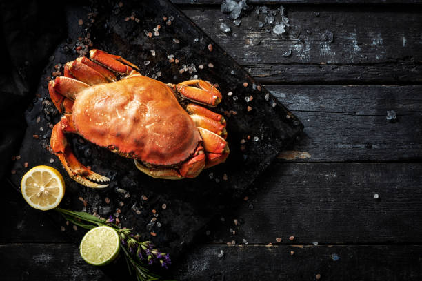 istock Sea delicacies. Fresh seafood. Crab. 1159970988
