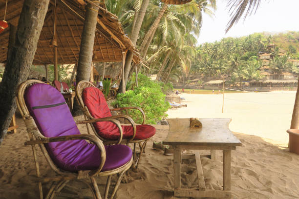 Stock photo of comfortable wicker bamboo garden seating chairs sunloungers with purple red cushions on tropical sandy beach paradise holiday vacation, next to sea, beach huts, lagoon, holidaymakers, sunbathers, coconut palms, palm trees, Goa / Kerala, India imagen de cómodas sillas de asientos de jardín de bambú mimbre tumbonas con cojines rojos púrpuras en vacaciones de playa de arena tropical paraíso vacaciones, junto al mar, cabañas de playa, laguna, turistas, bañistas, palmeras de coco, palmeras, g
