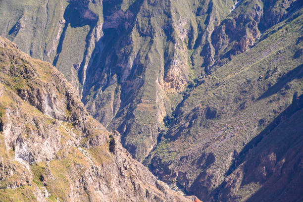 istock Ravine of the Colca Canyon 1159972736