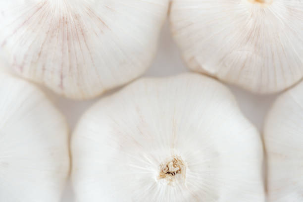 Fresh ripe garlic on white background