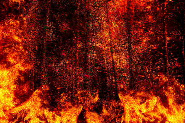 close-up of the forest in flames