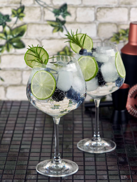 Gin tonic in a balloon glass or copa stock photo
