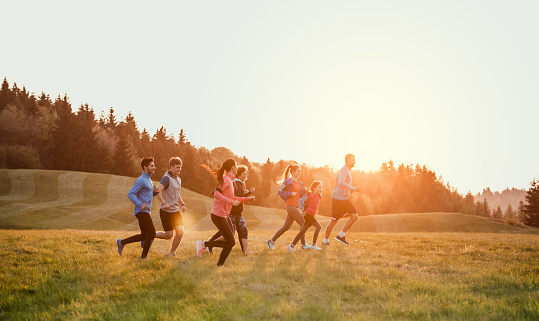 A large group of people cross country running in nature at sunset.
