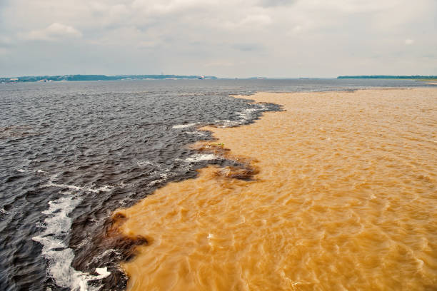 water meeting in brazil -amazon river with rio del negro water meeting in brazil -amazon river with rio del negro clean and dirty river water with different streams amazon river photos stock pictures, royalty-free photos & images