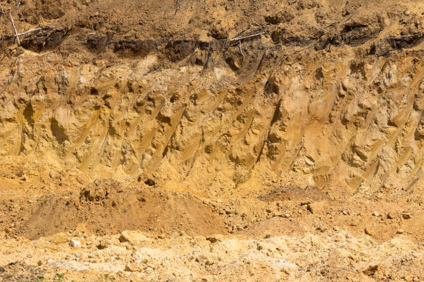 istock Track of excavator bucket in sandy soil 1159985285