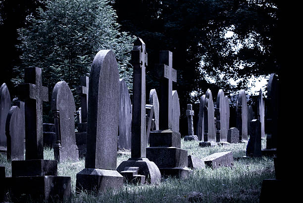 istock Close-up of multiple blank headstones in a graveyard 115999171