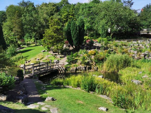 istock Japanese Garden 1159991849