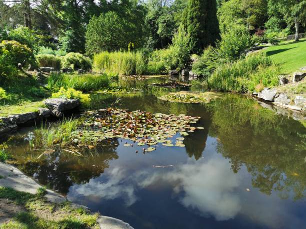 istock Japanese Garden 1159991873