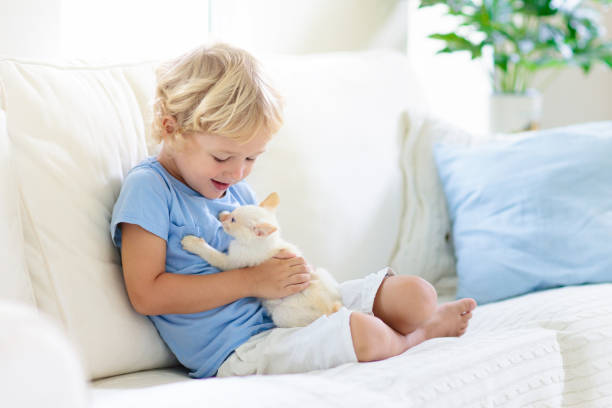 istock Child playing with baby cat. Kid and kitten. 1159992220