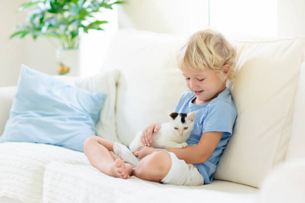 istock Child playing with baby cat. Kid and kitten. 1159993090