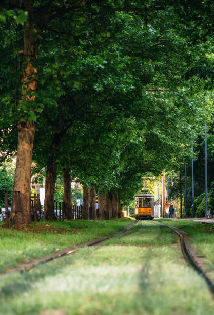 старый трамвай проходит через зеленый лес в милане, италия - single line urban scene outdoors vertical стоковые фото и изображения