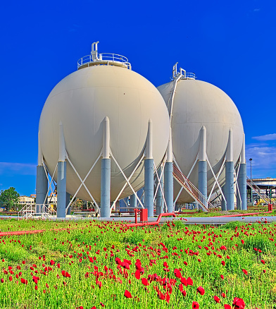 Gas tanks in refinery plant and poppy field