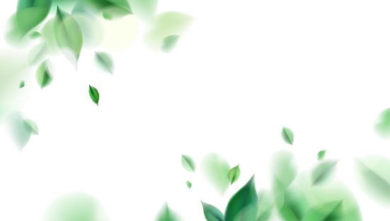 istock Green spring nature background with leaves 1159995256