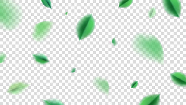 ilustraciones, imágenes clip art, dibujos animados e iconos de stock de diseño de la naturaleza de primavera verde con hojas - hojas volar eps