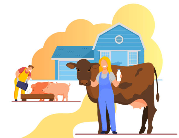 illustrations, cliparts, dessins animés et icônes de farming rancher people working on animal farm. - éleveur