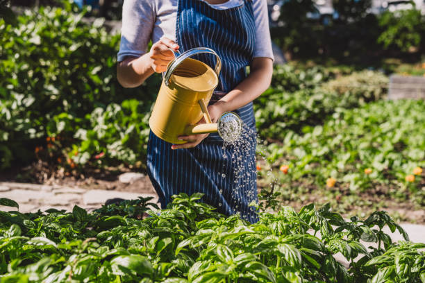 istock Water helps bring life to plants 1159999520