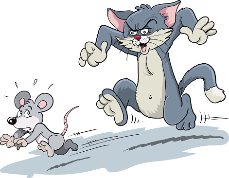 Cat chasing a mouse.
