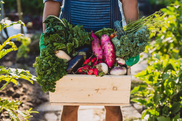istock It's the freshest rewards from looking after nature 1160000475