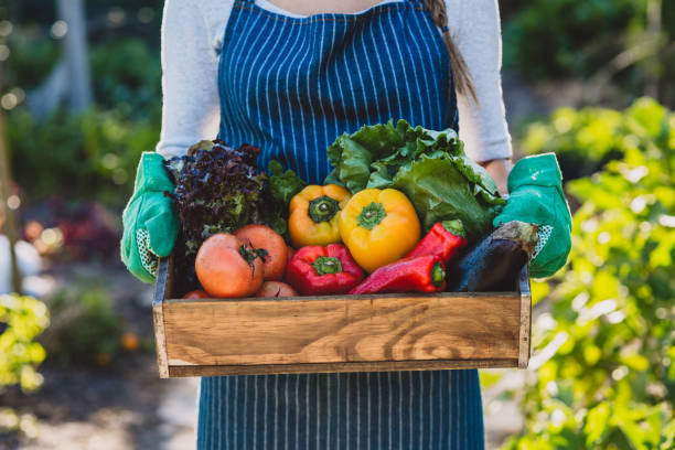 istock You won't find them fresher anywhere else 1160000478