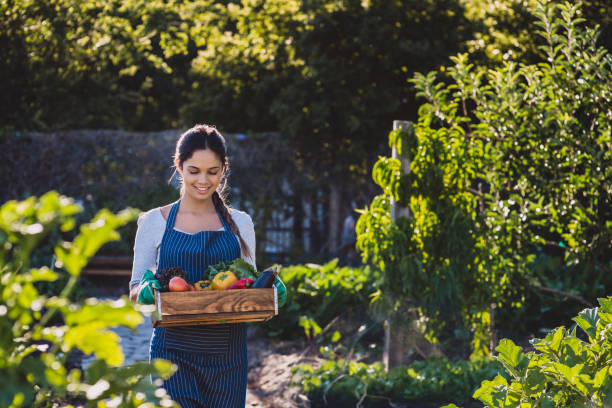 istock Just look at how bright and fresh these are 1160000514