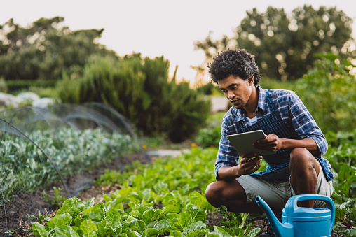 Shot of a young man using a digital tablet while working in a garden