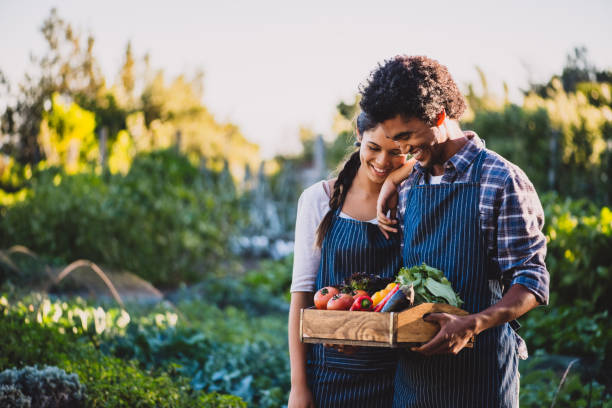 Nature has rewarded us in abundance Shot of a young couple carrying a crate of vegetables in a garden the farmer and his wife pictures stock pictures, royalty-free photos & images