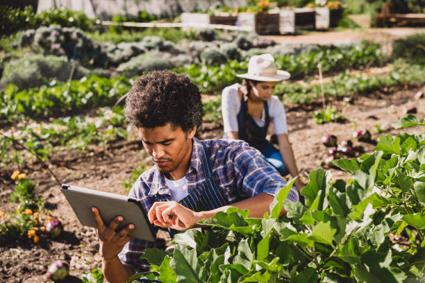 istock They're always busy around the garden 1160000789