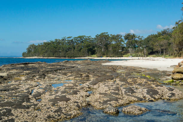 istock Huskisson, Jervis Bay, NSW, Australia 1160002052