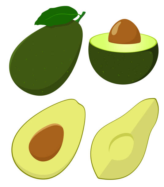 set von isolierten avocado im cartoon-stil mit blüte. vektor-illustration auf weißem hintergrund. - guacamole avocado cutting white background stock-grafiken, -clipart, -cartoons und -symbole