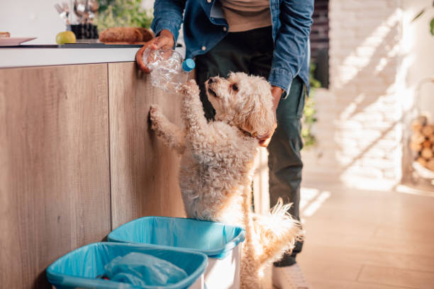 Recycling plastic bottles at home with little helper