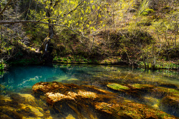 istock Mountain landscape woods,hills,river, clouds and sky, Serbia 1160004728