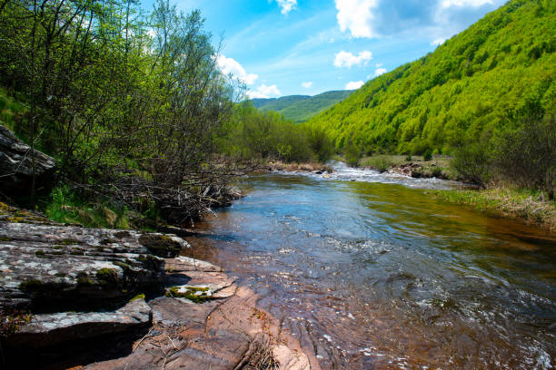 istock Mountain landscape woods,hills,river, clouds and sky, Serbia 1160004966